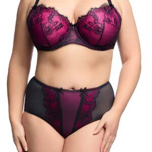 Dita Von Teese Savoir Faire Curve Bra Navy Blue Magenta Pink lace NWT size 44DD